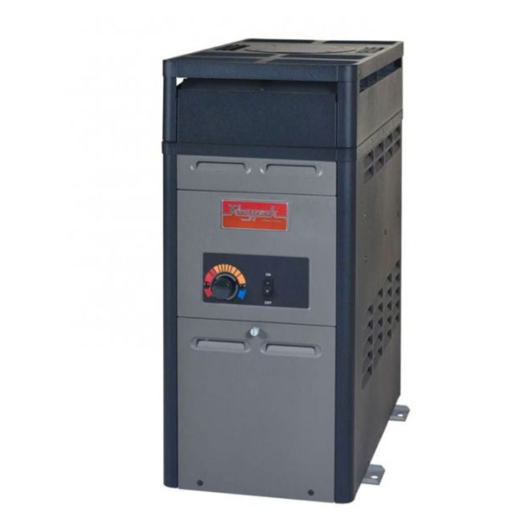 106,000 BTU Raypak Propane Heater